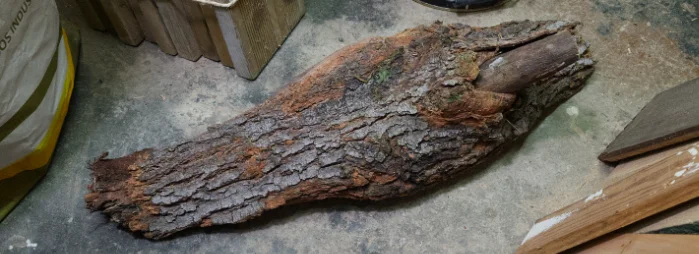 Um tronco irregular coberto de casca com fissuras profundas e musgo, pousado no chão da oficina antes de qualquer trabalho